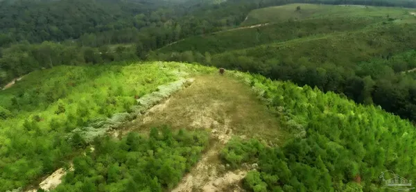 $225,000 | 0 County Road, Waterloo, AL 35677