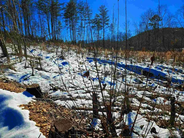 $225,000 | 0 County Road, Waterloo, AL 35677