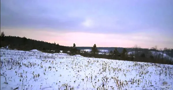 $225,000 | 0 County Road, Waterloo, AL 35677