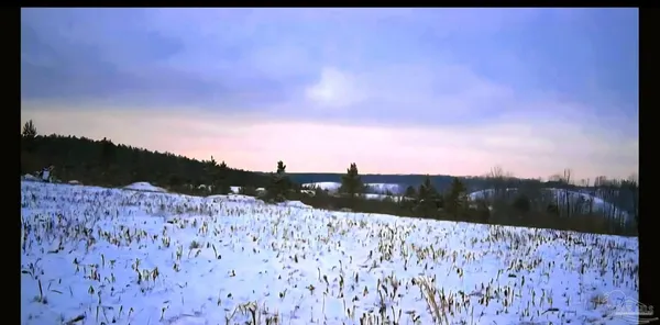 $225,000 | 0 County Road, Waterloo, AL 35677