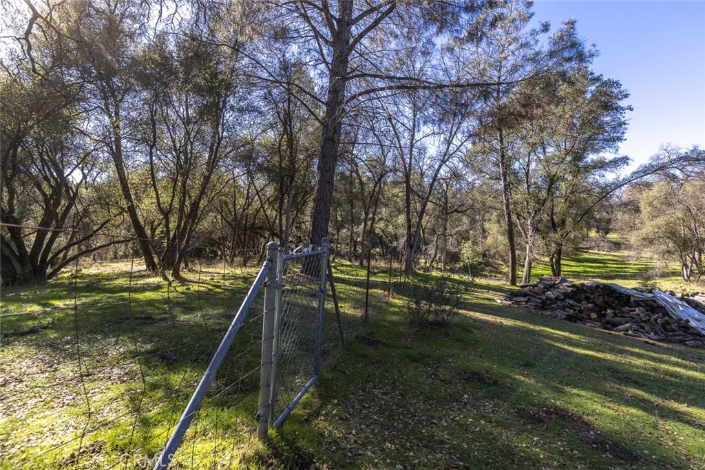 3977 Spring Court Mariposa, CA 95338 - Photo 24 of 72 a view of a park with large trees