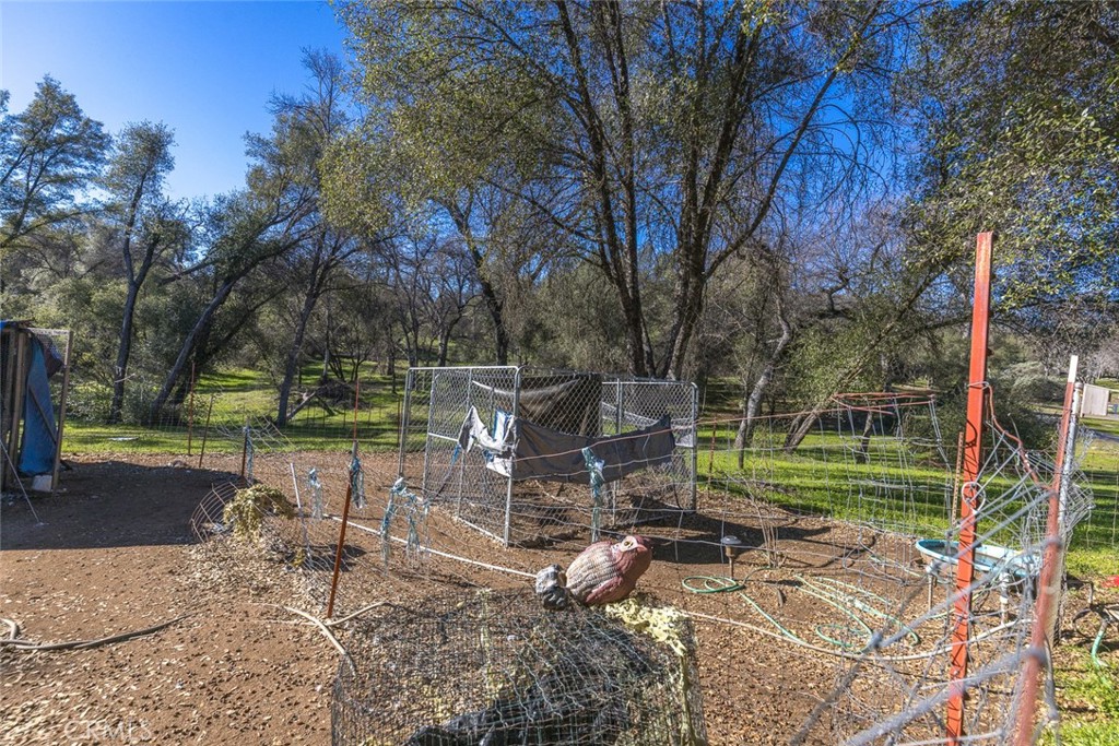 3977 Spring Court Mariposa, CA 95338 - Photo 28 of 72 a view of a park with large trees