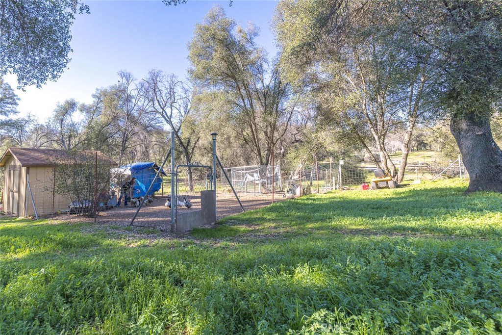 3977 Spring Court Mariposa, CA 95338 - Photo 31 of 72 a view of a park with bench and trees