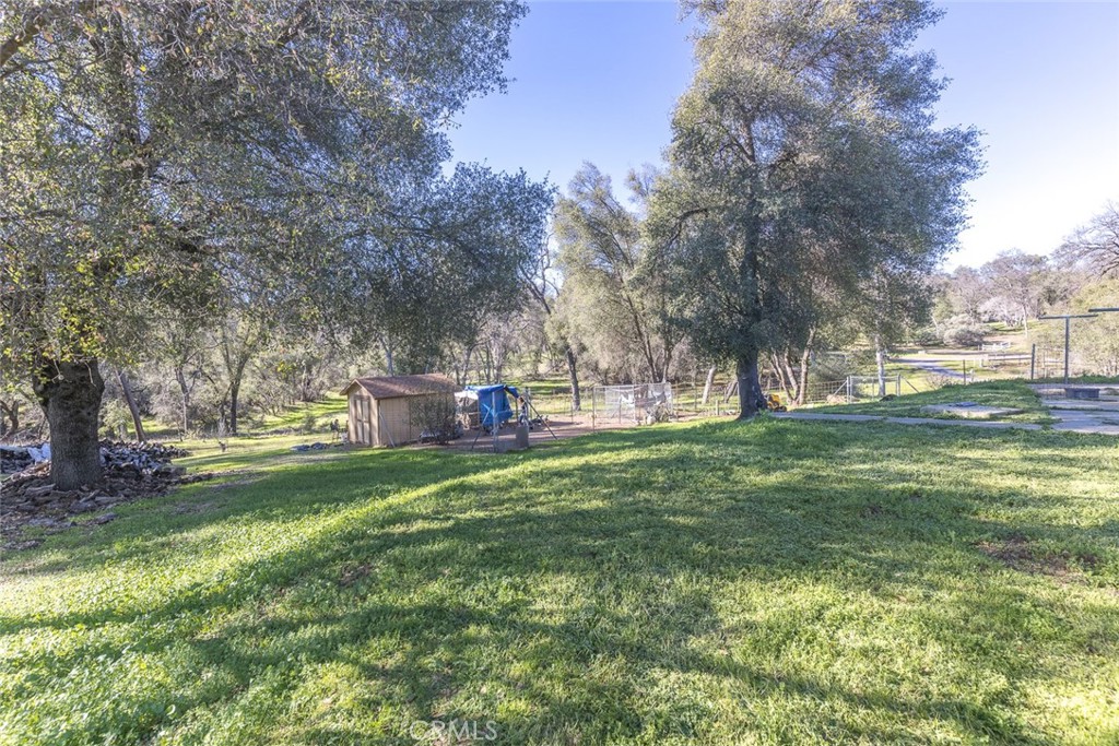 3977 Spring Court Mariposa, CA 95338 - Photo 32 of 72 a view of a park with large trees
