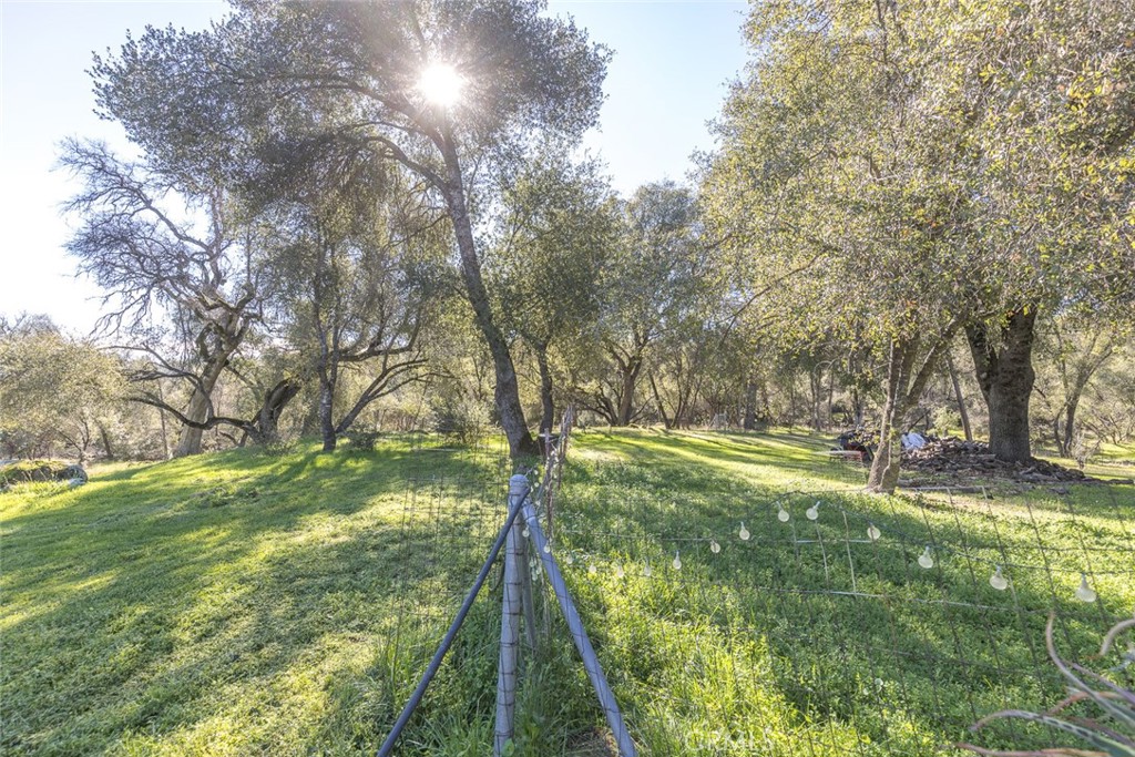 3977 Spring Court Mariposa, CA 95338 - Photo 35 of 72 a backyard of a house with a yard and outdoor seating