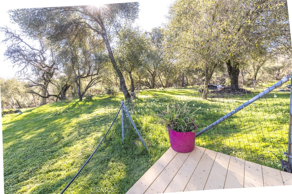 3977 Spring Court Mariposa, CA 95338 - Photo 36 of 72 a view of a yard with large trees