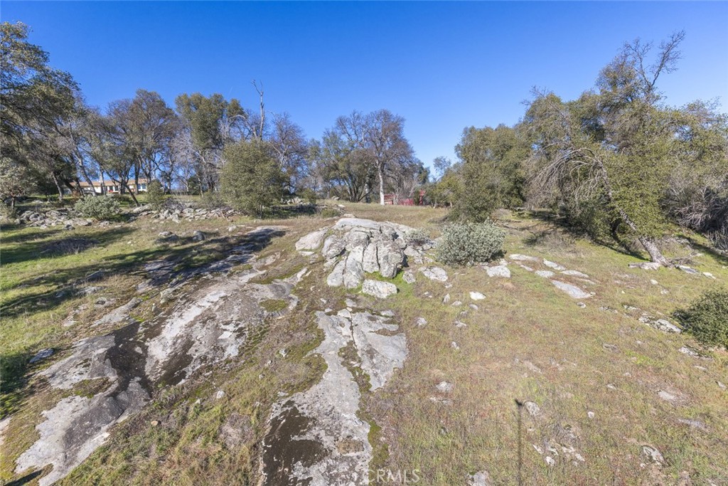 3977 Spring Court Mariposa, CA 95338 - Photo 37 of 72 a view of mountain view with trees