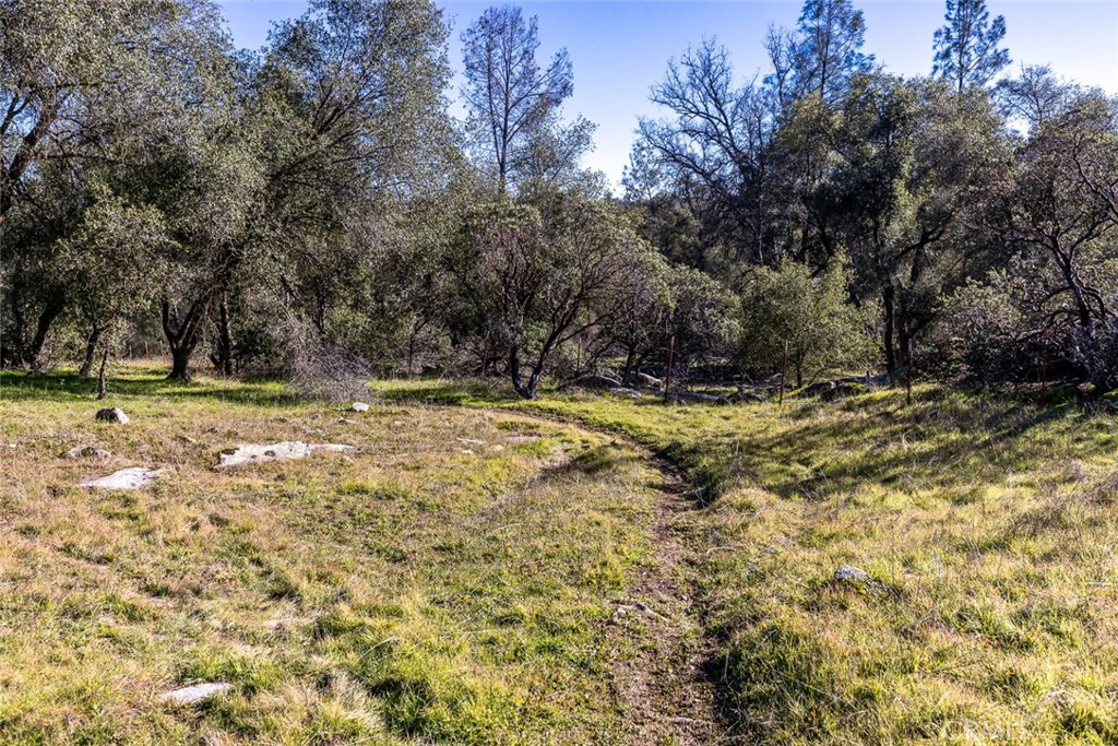 3977 Spring Court Mariposa, CA 95338 - Photo 38 of 72