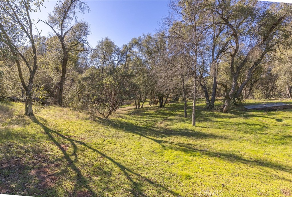 3977 Spring Court Mariposa, CA 95338 - Photo 43 of 72 a view of swimming pool with an outdoor space
