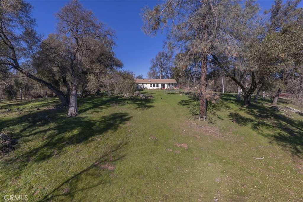 3977 Spring Court Mariposa, CA 95338 - Photo 44 of 72 a view of a yard with an trees