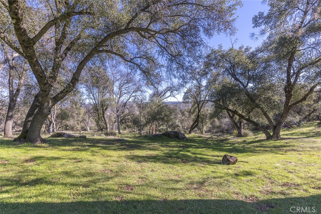 3977 Spring Court Mariposa, CA 95338 - Photo 45 of 72