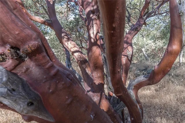 $549,000 | 3977 Spring Court, Mariposa, CA 95338