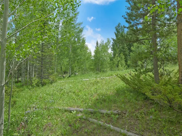 $550,000 | 616 Aspen Drive, Silverthorne, CO 80498