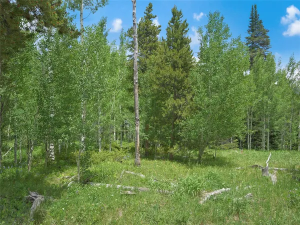 a view of outdoor space with trees