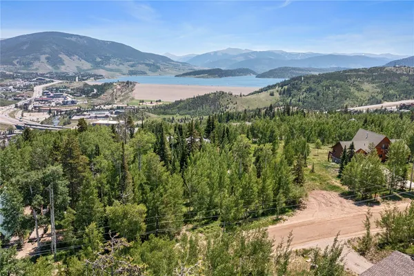 a view of a tree in a yard