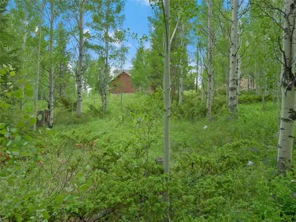 $550,000 | 616 Aspen Drive, Silverthorne, CO 80498