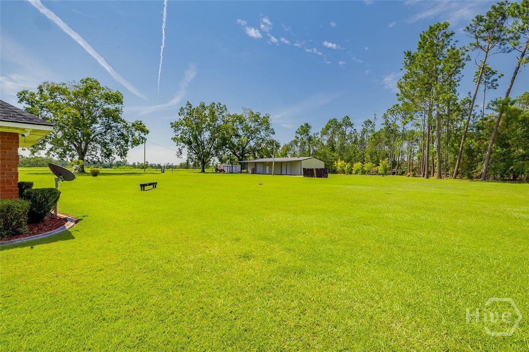 4822 Highway 15 Vidalia, GA 30474 - Photo 32 of 45 BACK YARD TOWARDS STEEL BUILDING