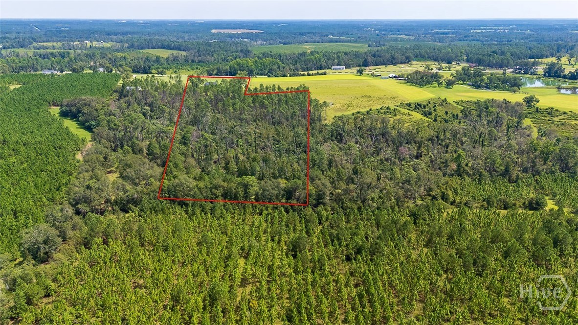 4822 Highway 15 Vidalia, GA 30474 - Photo 39 of 45