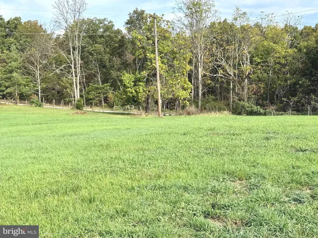 a view of a grassy field with trees in the background