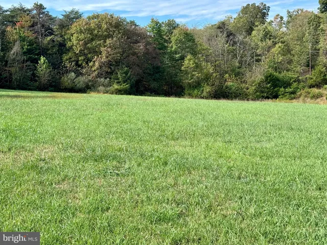 a big yard with lots of green space