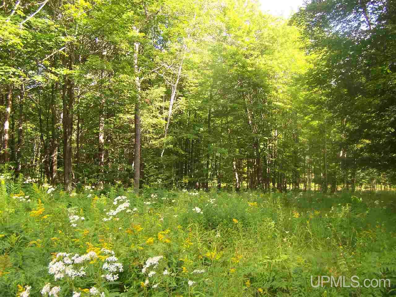C-wi Park Road Hurley, WI 54534 - Photo 20 of 27