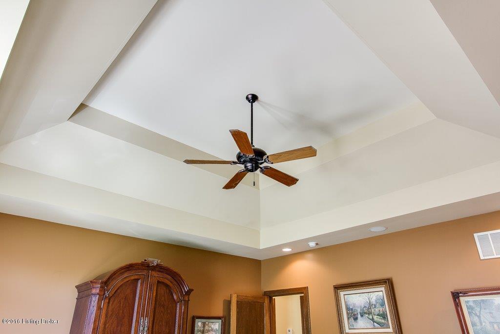3201 Ridge Brook Court Prospect, KY 40059 - Photo 20 of 53 trey ceiling