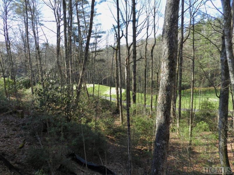 345 Boiling Springs Road Sapphire, NC 28774 - Photo 19 of 19 Gallery Image 19