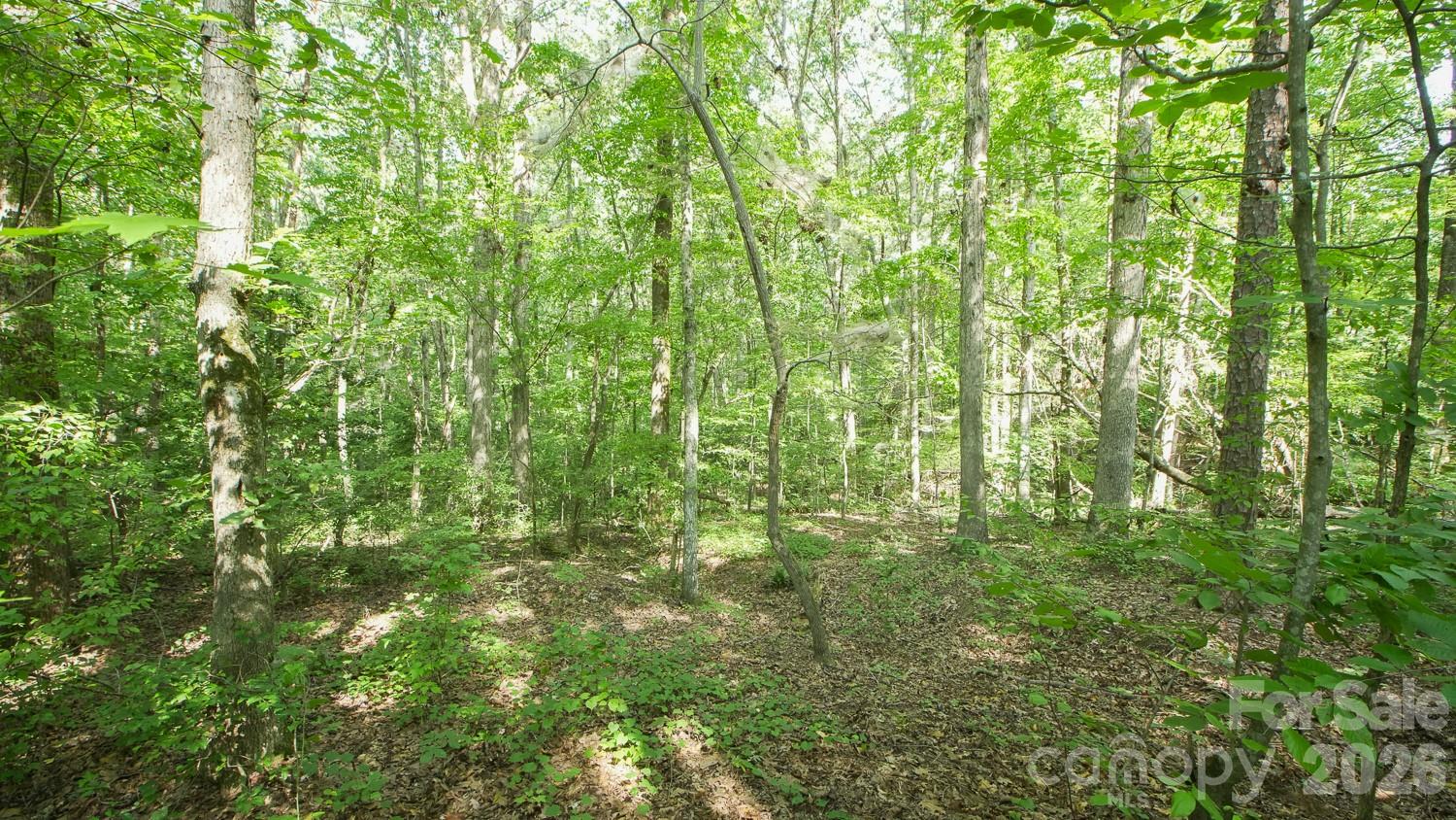0 Beargrass Road Sherrills Ford, NC 28673 - Photo 10 of 12 Gallery Image 10