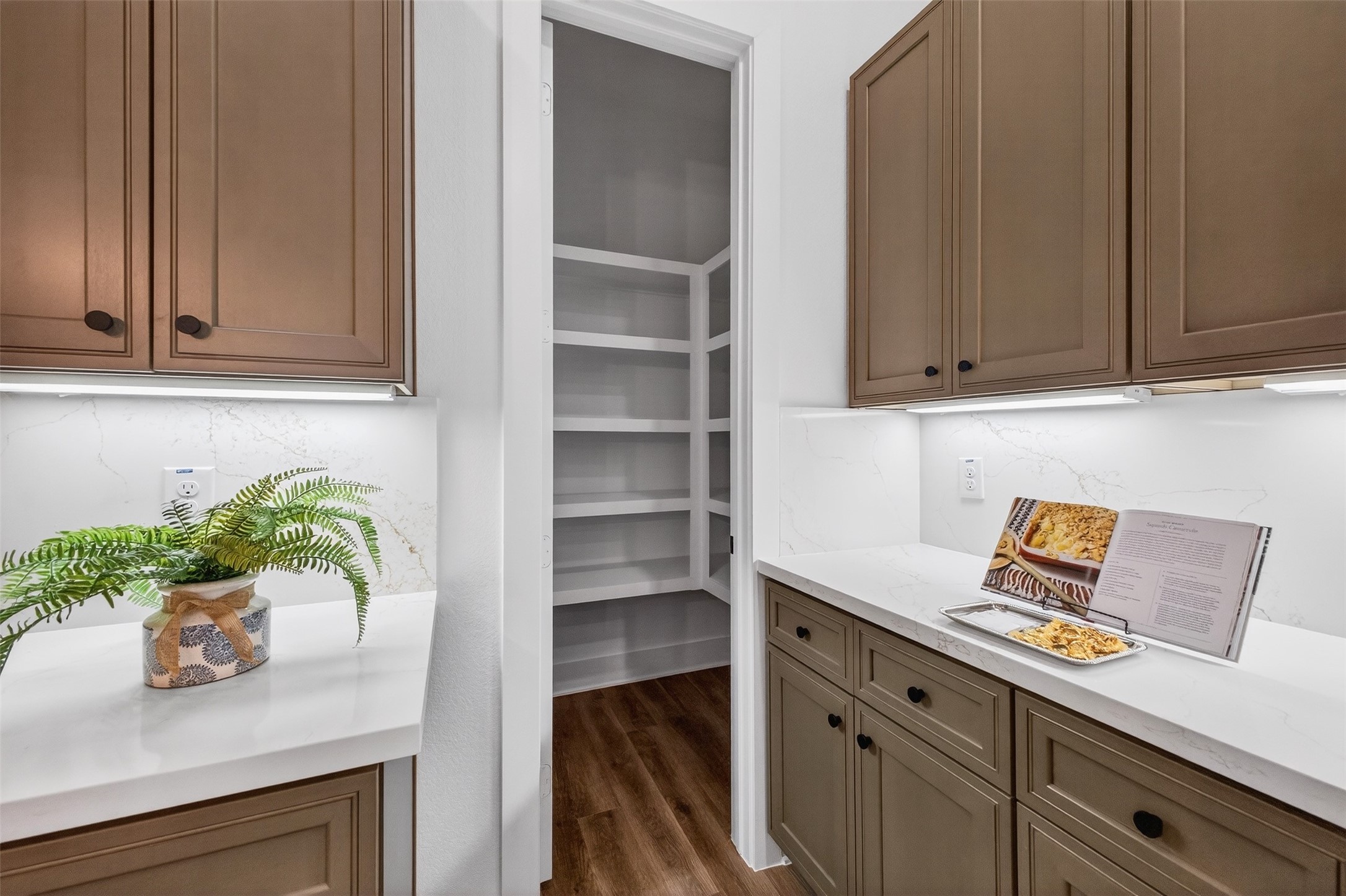 3003 A Delano Street Houston, TX 77004 - Photo 28 of 49 a kitchen with a potted plant on the counter and cabinets