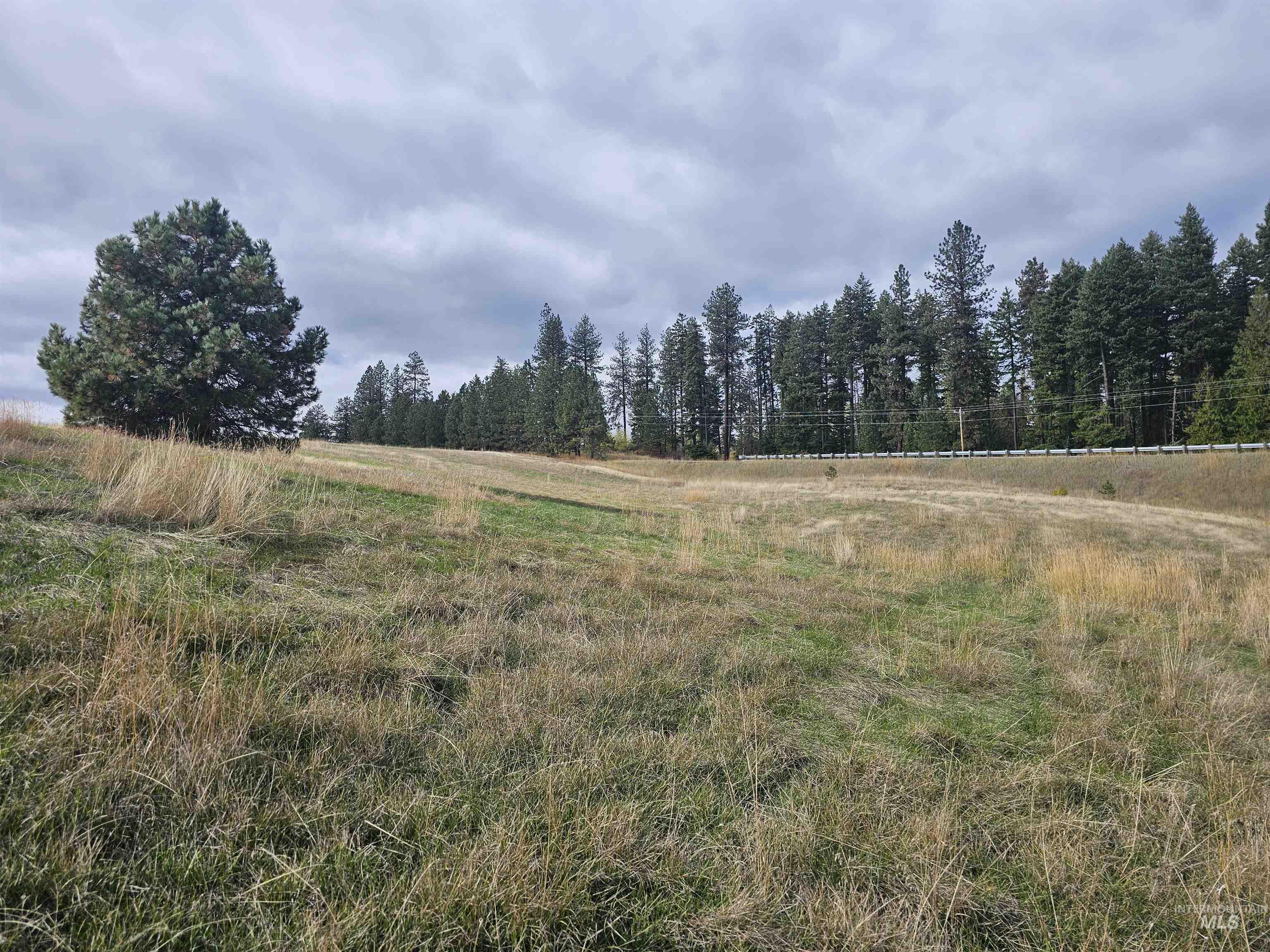 0 Brown Road Lenore, ID 83541 - Photo 11 of 15