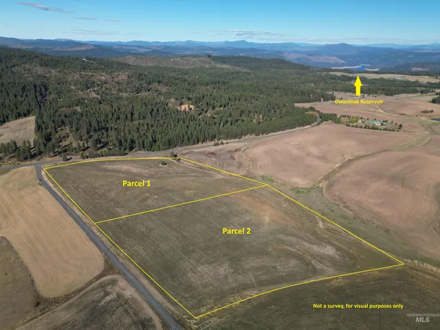 $199,000 | 0 Brown Road, Lenore, ID 83541