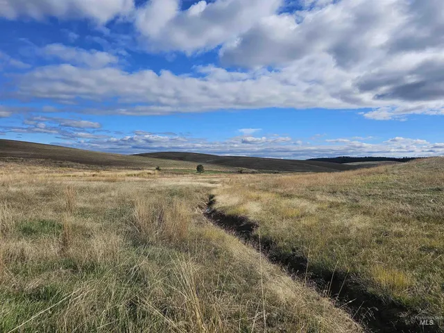 $199,000 | 0 Brown Road, Lenore, ID 83541