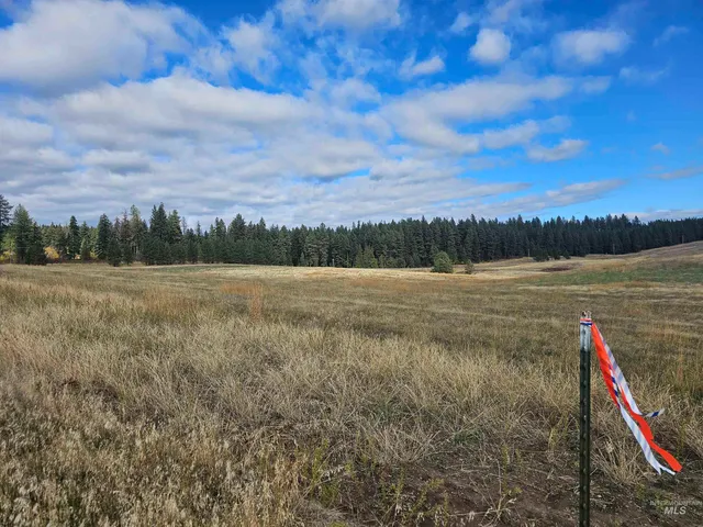 $174,000 | 0 Brown Road, Lenore, ID 83541