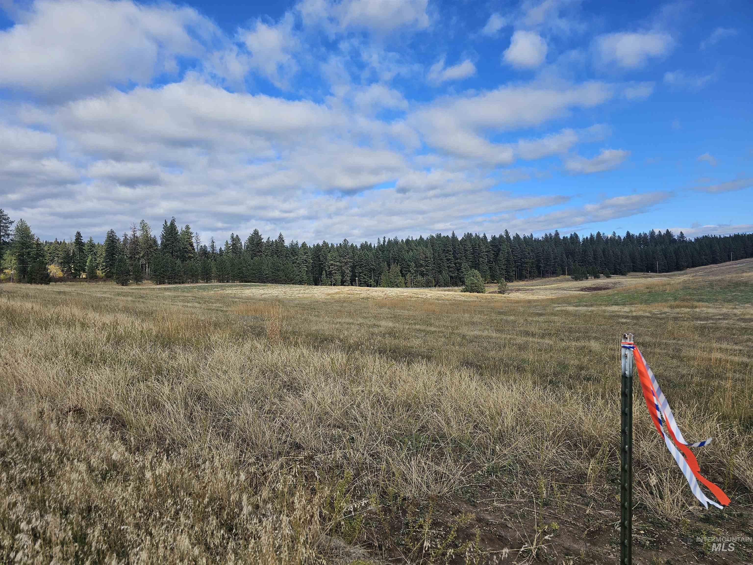 0 Brown Road Lenore, ID 83541 - Photo 4 of 15