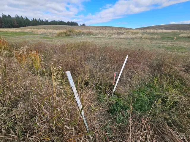 $199,000 | 0 Brown Road, Lenore, ID 83541