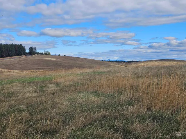 $199,000 | 0 Brown Road, Lenore, ID 83541