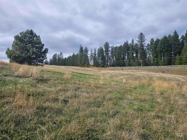 $199,000 | 0 Brown Road, Lenore, ID 83541
