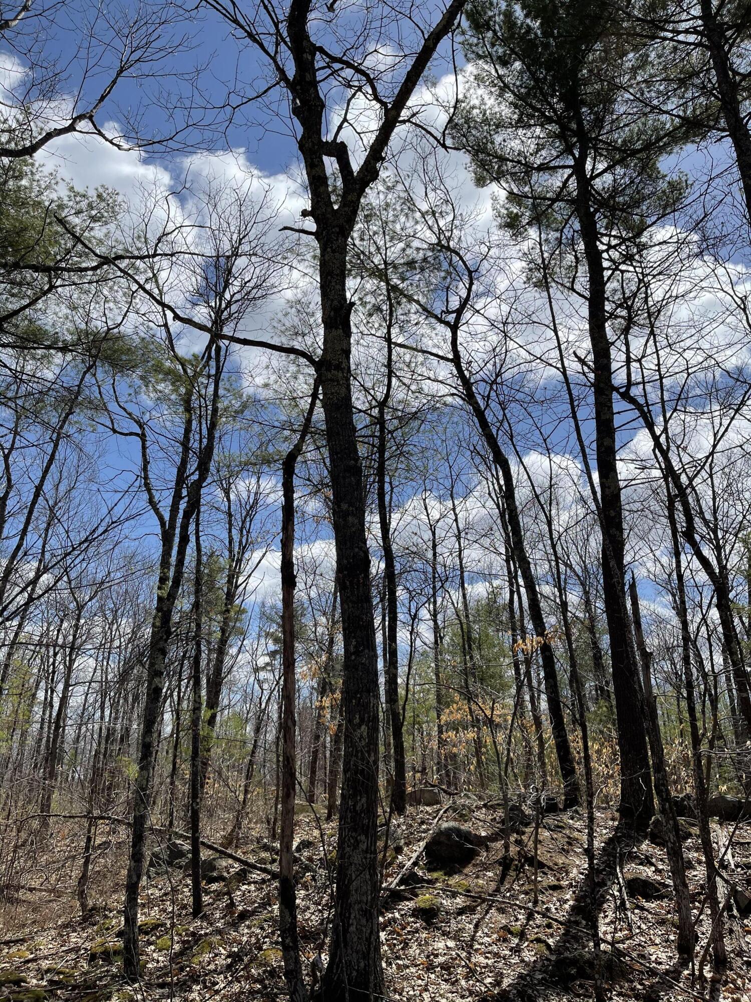0 Quarry Road New Gloucester, ME 04260 - Photo 2 of 11 Photo Apr 14, 1 17 36 PM