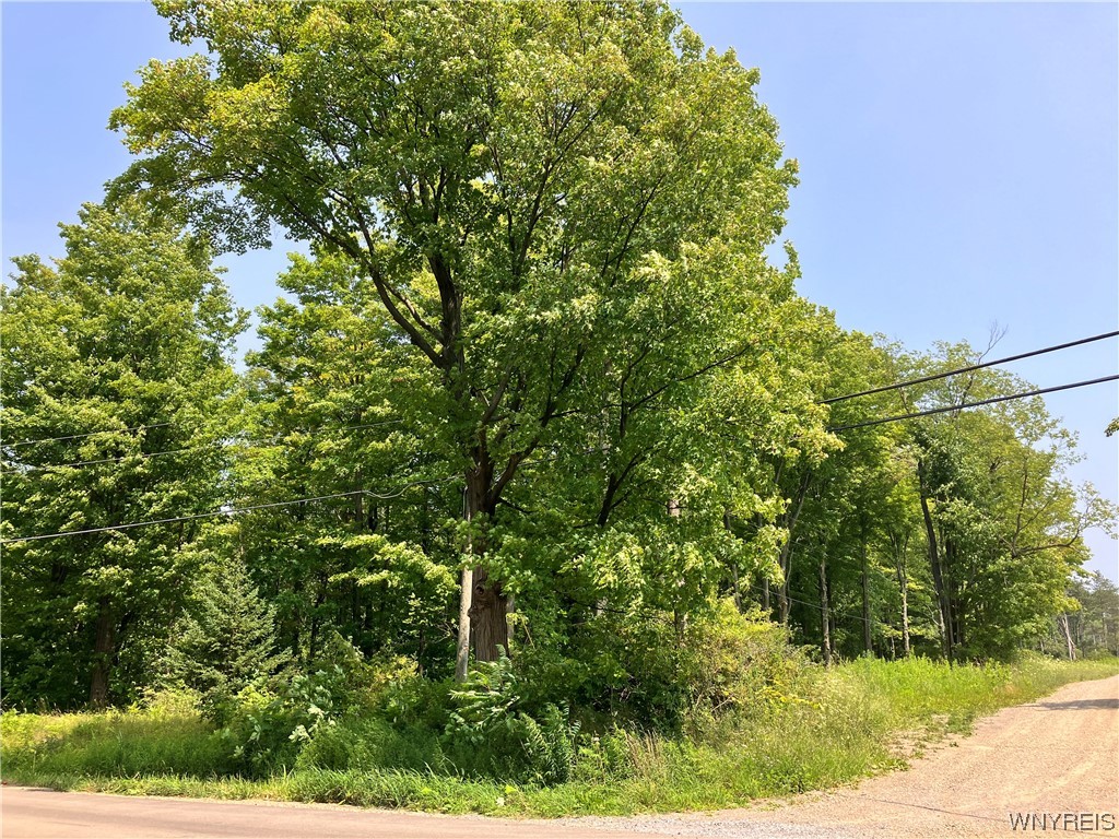 9453 Jennings Road Eden, NY 14057 - Photo 1 of 1 Gallery Image 1