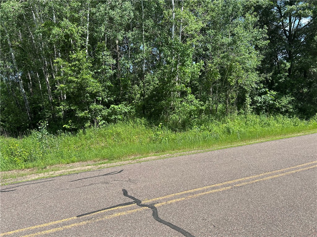 0 Bernhardt Road Fall Creek, WI 54742 - Photo 3 of 5
