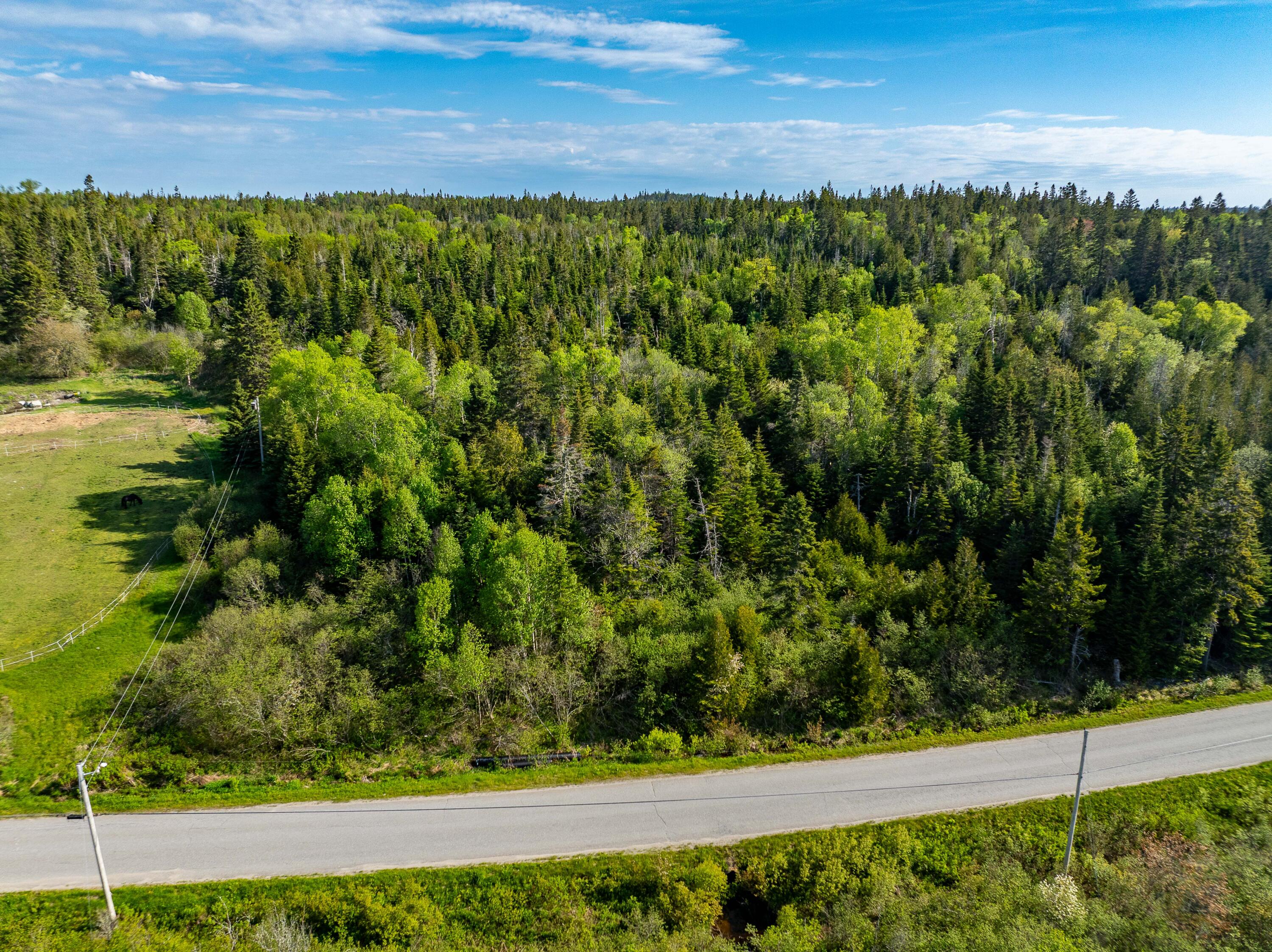 25-h-2 Boot Cove Road Lubec, ME 04652 - Photo 1 of 4 Lot 1-25-H Boot Cove Rd, Lubec (2 of 8)