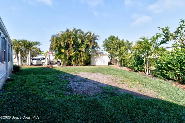 a view of a yard with a tree