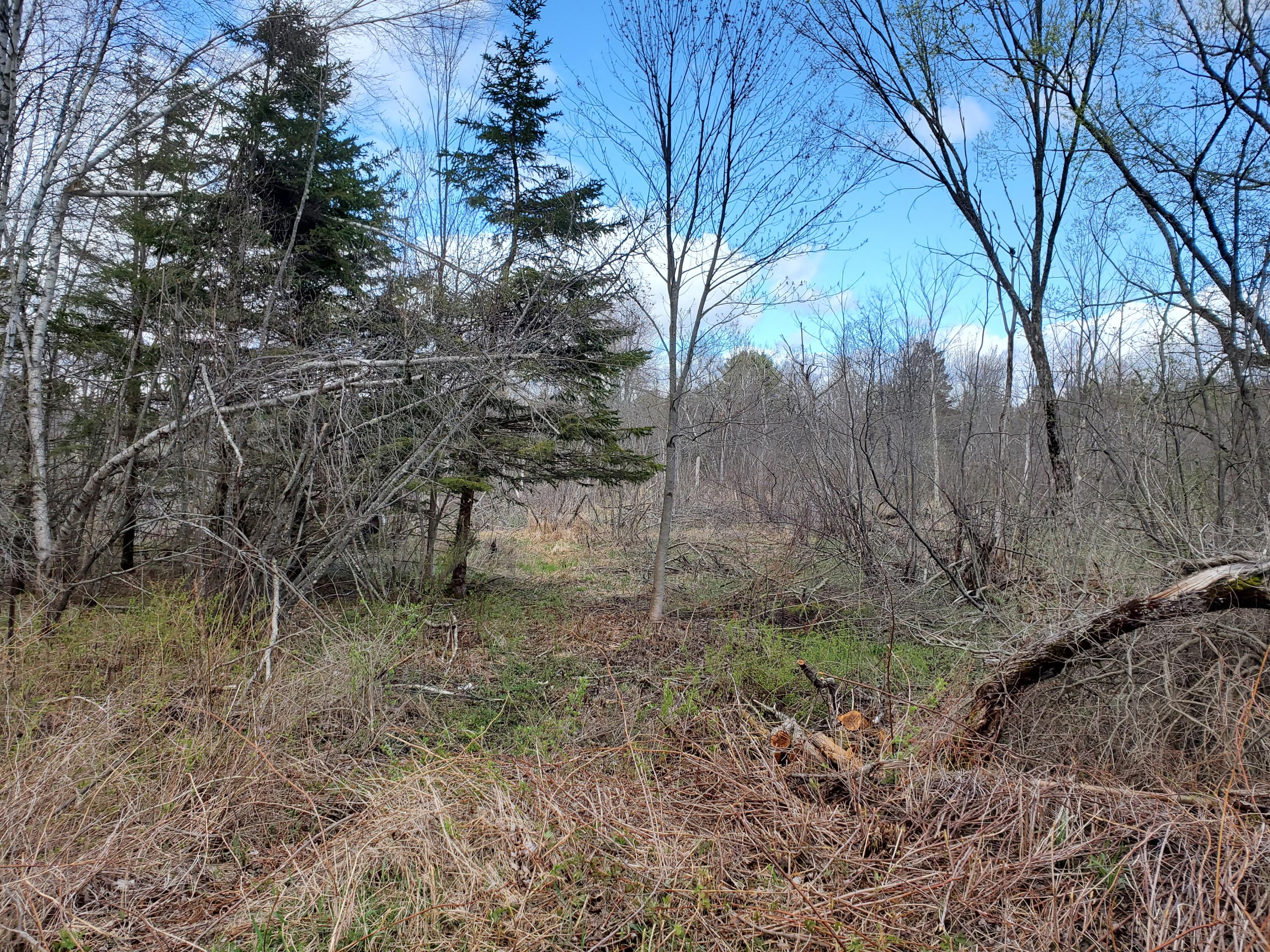 37 Haley Road Winterport, ME 04496 - Photo 8 of 17 20200516_134443