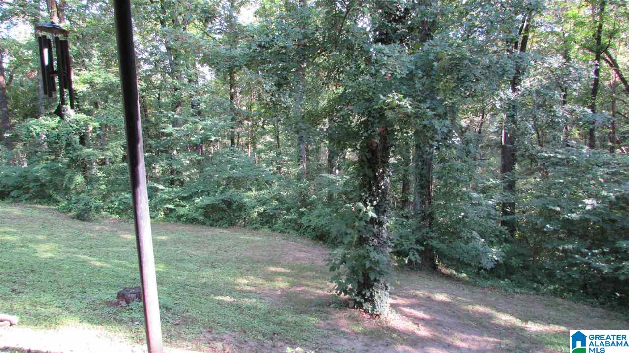 13 South Forty Road Alabaster, AL 35007 - Photo 36 of 36 Gallery Image 36