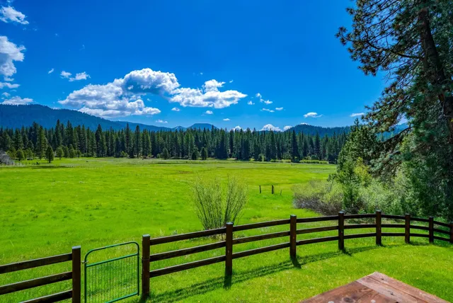 a view of a livingroom with furniture and window