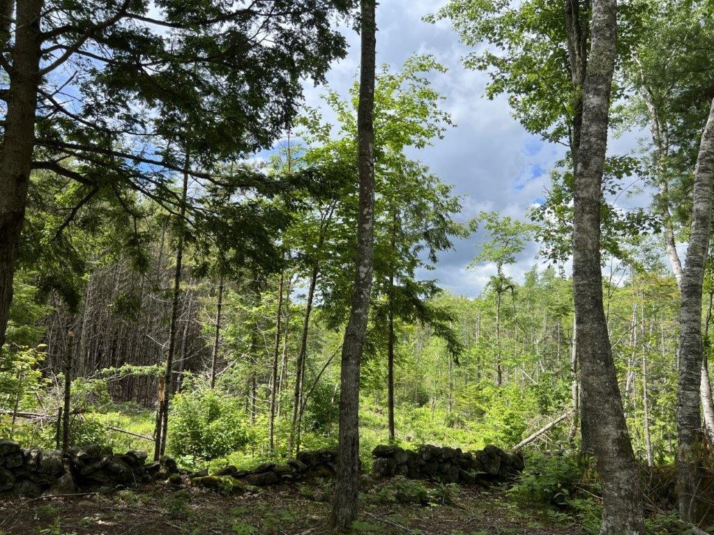 78 Castlewood Road Newcastle, ME 04553 - Photo 4 of 12 7