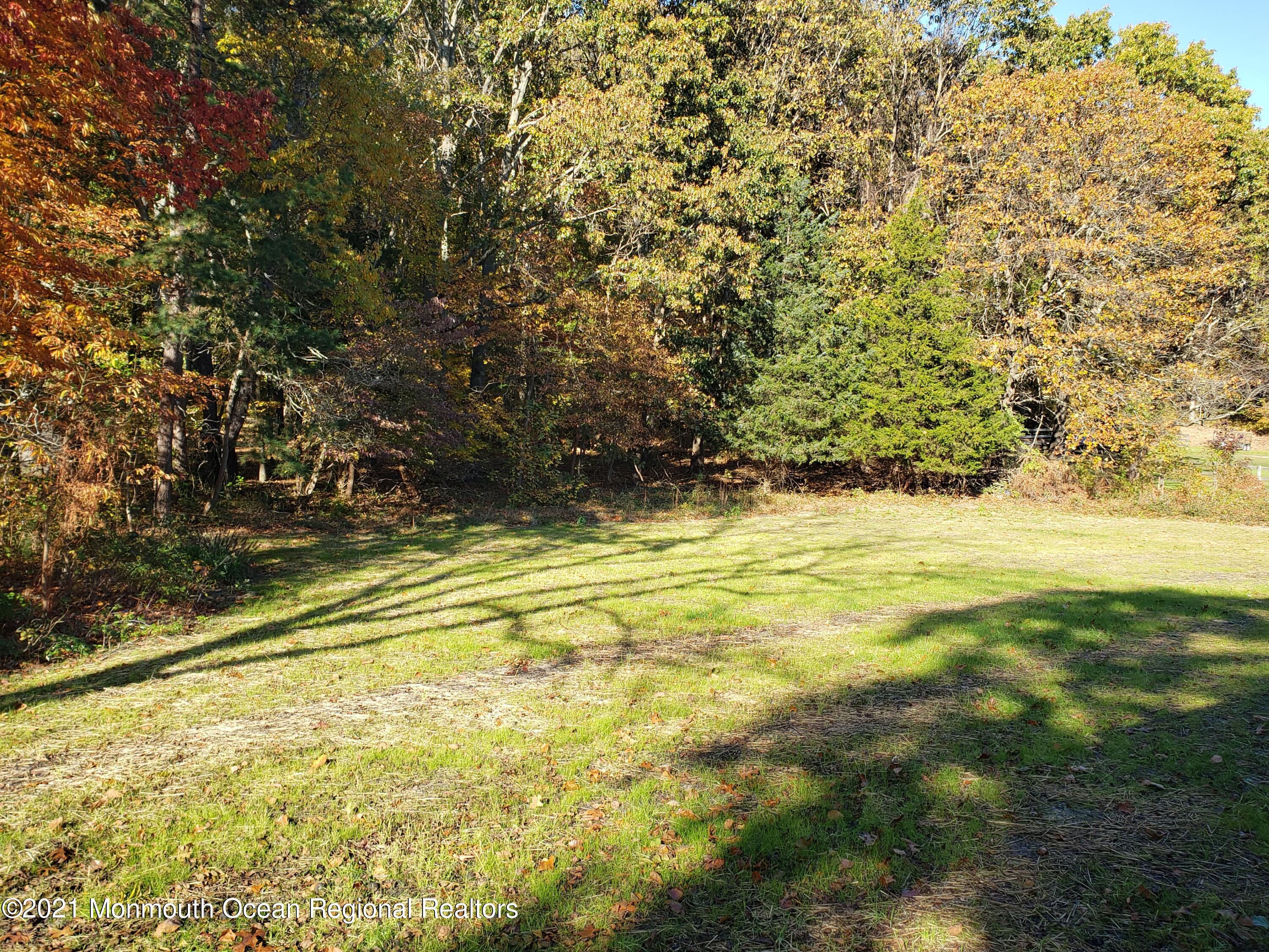 154 Jackson Mills Road Freehold, NJ 07728 - Photo 5 of 19 a view of a yard with an outdoor space