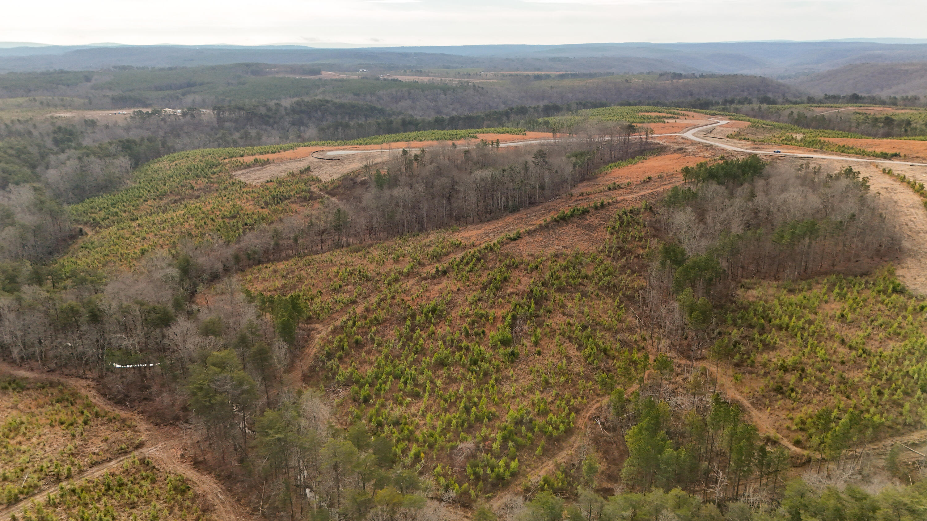 0 State Rt 399 Dunlap, TN 37327 - Photo 12 of 14 Longview-10