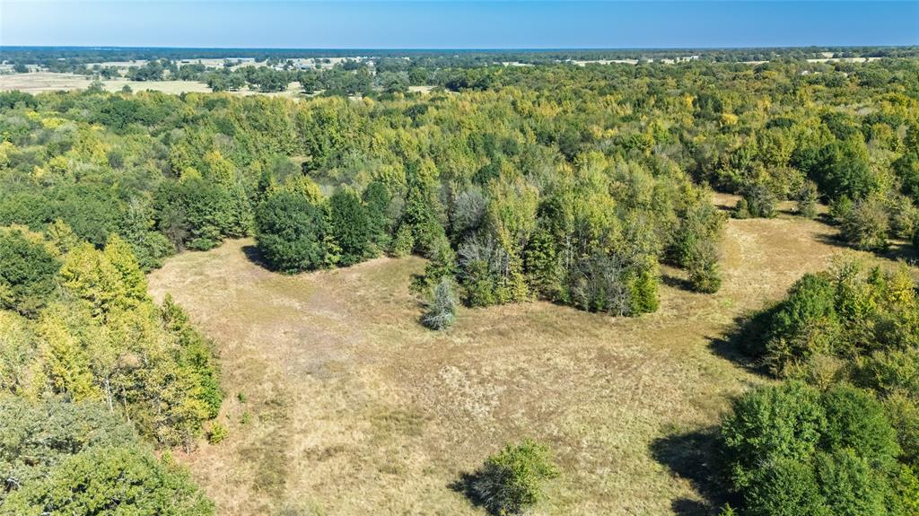 1094 Southwest Sw Cr Saltillo, TX 75478 - Photo 26 of 39 a view of a yard with an outdoor space