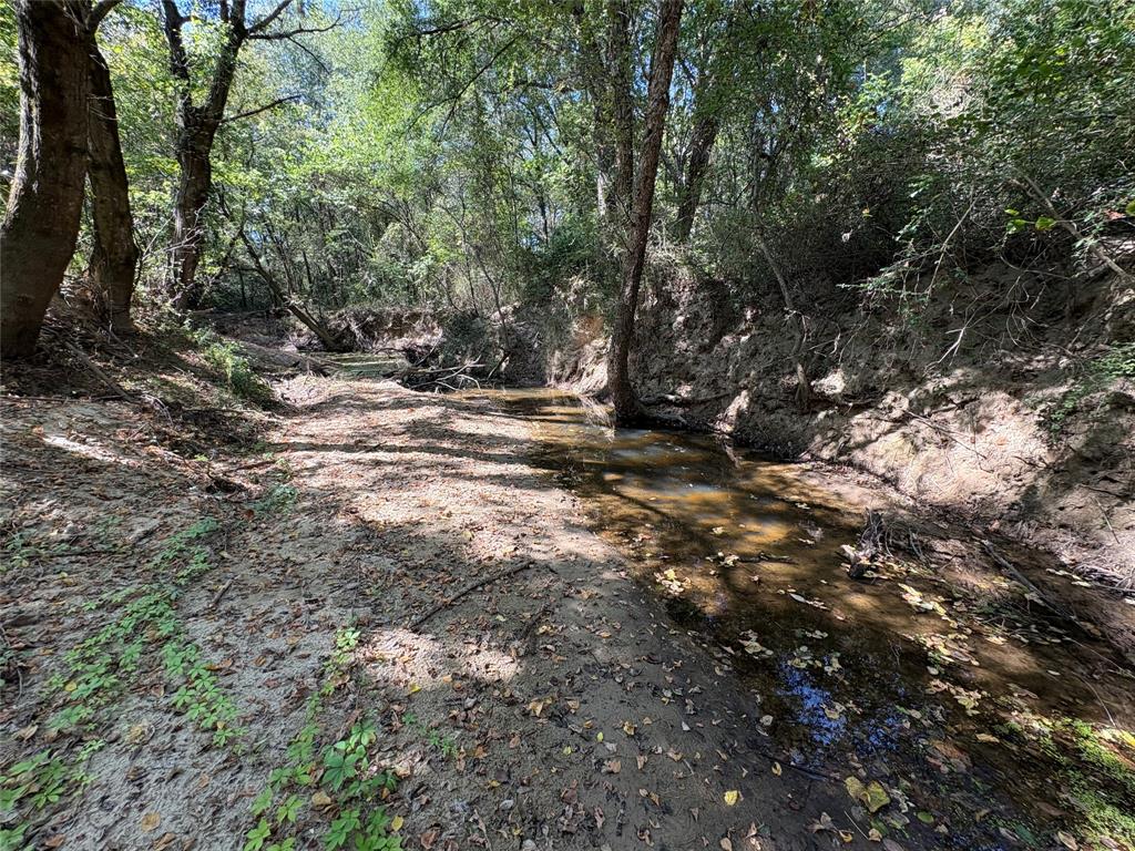 1094 Southwest Sw Cr Saltillo, TX 75478 - Photo 30 of 39 a view of a forest with trees